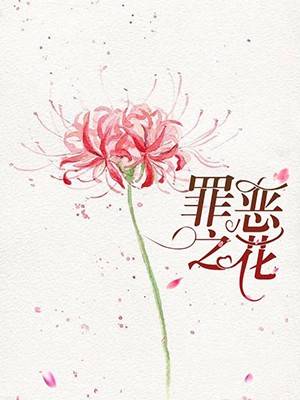 想入媛媛