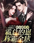 离婚后，时小姐带着霸总的崽称霸全球
