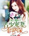 古少宠妻套路深