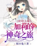 封印大陆，加莉的神奇之旅